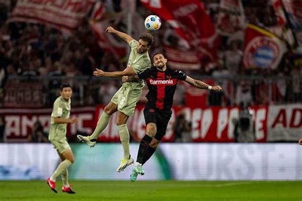 Bayer Leverkusen Vs Heidenheim Hasil Akhir Dan Review Pertandingan Bundesliga